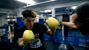 Boxing GIF