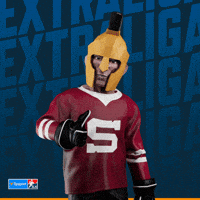 Hockey Spa GIF by Tipsport extraliga