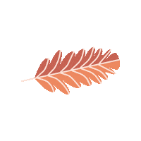 Orange Leaf Sticker
