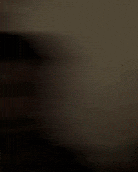 Stare Wtf GIF