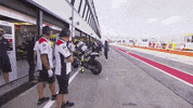 motor sports sport GIF by MotoGP