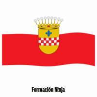 Comunidad De Madrid Bandera GIF by Formación Ninja