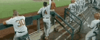 College World Series Baseball GIF by NCAA Championships