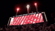 Football Celebrate GIF by University of South Carolina