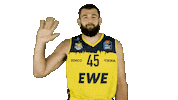 Ewe Baskets Basketball Sticker by EWE Baskets Oldenburg
