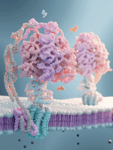 tomvh__ giphyupload protein biology atp GIF