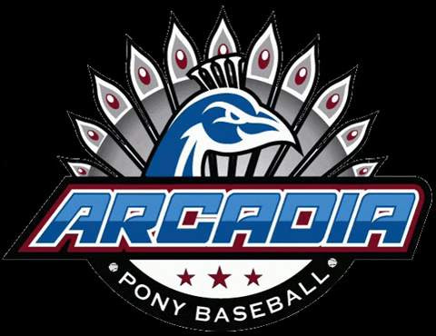 Youth Baseball GIF by Arcadia Pony Baseball