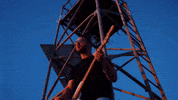 Koyo GIF by Pure Noise Records