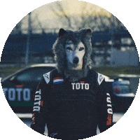 Formula 1 Sport Sticker by Toto