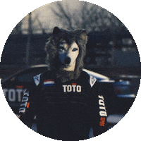 Formula 1 Sport Sticker by Toto