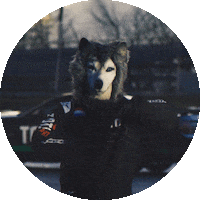 Formula 1 Sport Sticker by Toto