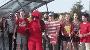 illinoistech reaction happy dancing celebration GIF