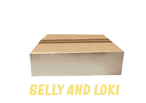 Cats Box Sticker