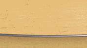 Skate Meatball GIF by 44 Cats