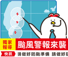 Typhoon 颱風 GIF