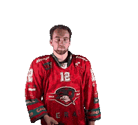 HCORLIZNOJMO 12 orli znojmo orliznojmo Sticker