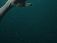 Enbathome GIF by English National Ballet