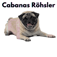 Amorinha Sticker by Amora Pug Brasil