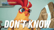 No Idea Idk GIF by Wind Sun Sky Entertainment