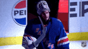 Ice Hockey Celebration GIF by NHL
