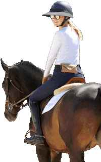 Ruespari_ horse bay horse riding ruespari Sticker