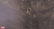 GIF by Volcano Live! with Nik Wallenda