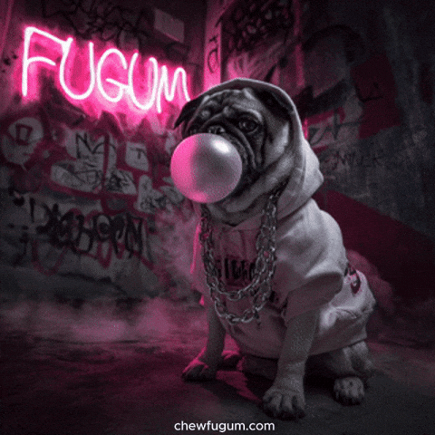 Cool Dog GIF by Fugum