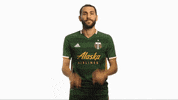 Portland Timbers Valeri GIF by Timbers
