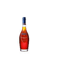 Clubbing Happy Hour Sticker by Maison Martell