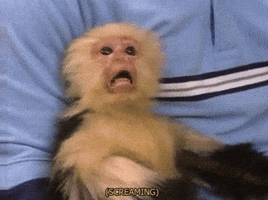 Photo gif. Monkey with a shocked expreession is being held by a person and the photo is edited to shake, emphasizing the monkey's fear. Text, "Screaming."