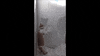 cabin fever cat GIF