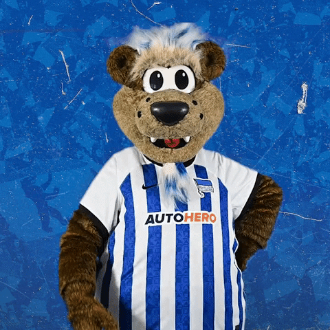 Bundesliga Berlin GIF by Hertha BSC