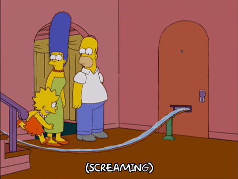 homer simpson GIF