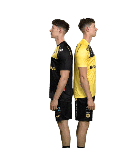 Handball Sticker by HSC 2000 Coburg