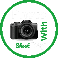Photo Day Sticker by Realty ONE Willamette Valley