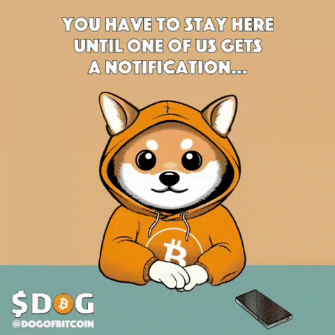 Dog Army GIF by $DOG