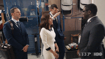 veephbo hbo veep julia louis-dreyfus tony hale GIF