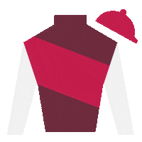 Rabbit Hole Pink Sticker by Aaron Mivelaz