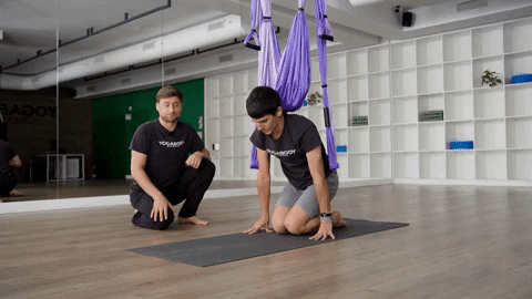 Training Yoga Trapeze GIF by YOGABODY