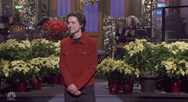 Timothee Chalamet Snl GIF by Saturday Night Live