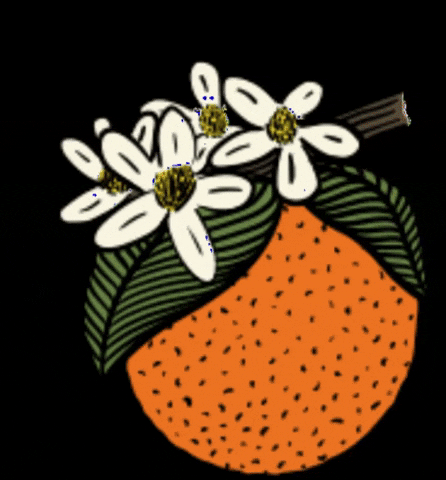Flower Orange GIF by katinaturals