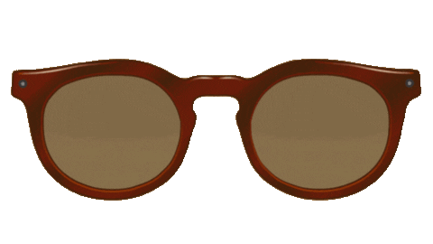 sunglasses brand Sticker by MISO PUP