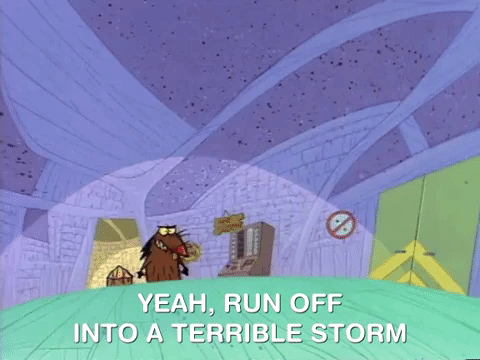 nickrewind giphydvr nicksplat angry beavers giphyab010 GIF