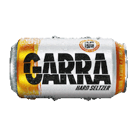 Hard Seltzer Sticker by Cerveceria Regional