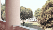 maprerd republica dominicana palacio presidencia paliza GIF