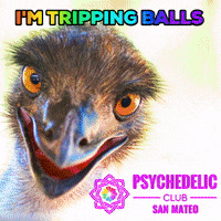 psychedelicsanmateo rainbow trippy psychedelic weird GIF