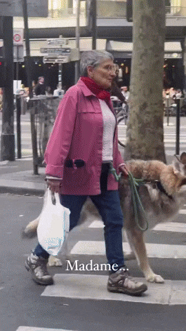 cuteanimalland giphyupload GIF