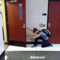 If You Insist GIF