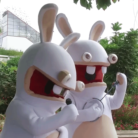 lapin GIF