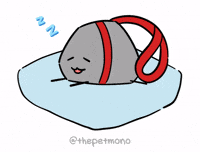 Rock Sleeping GIF